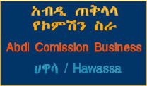 Hawassa Commission works